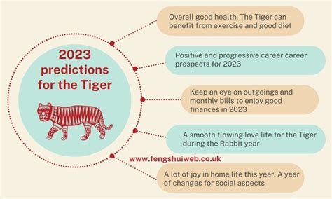 The Lost Tiger 2025